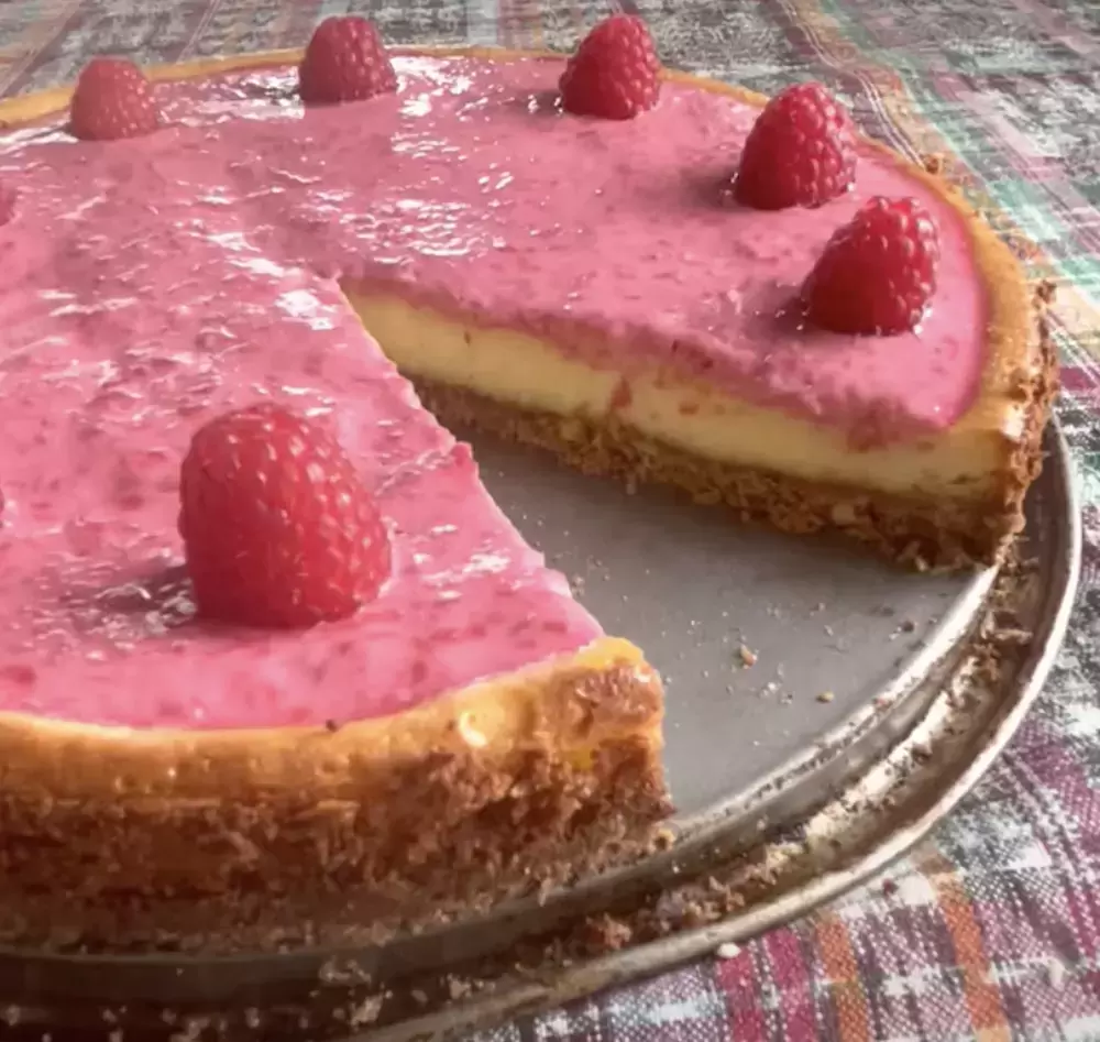Raspberry Cheesecake with Hazelnut Crust
